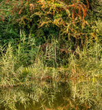 late summer at hythe poster