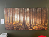 Hemsted Pines 145x75cm HALF PRICE