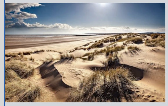 Camber Dunes in the Sun limited edition canvas print 95x60cm HALF PRICE