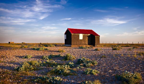 red hut at rye harbour – purdie gallery