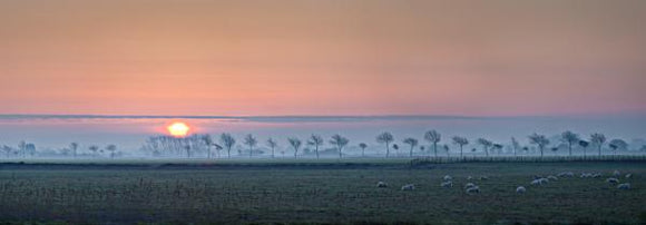 sunrise over romney marsh canvas print