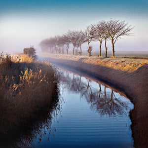 misty morning romney marsh