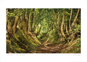sunken path brede high wood poster