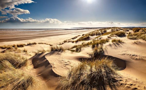 camber dunes in the sun