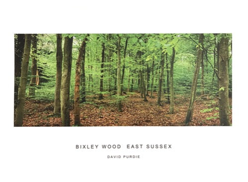 bixley wood east sussex poster