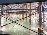 raindrops under hastings pier