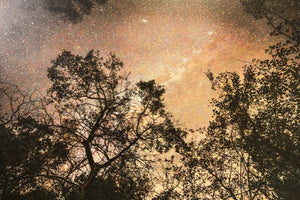 night sky over bixley woods