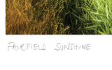 fairfield sunshine poster